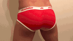 poopyme-wpb:Filling up some snug Aussiebum ribbed cotton briefs