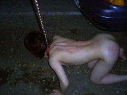 whorespain:  Naked pig, leash, parking lot.