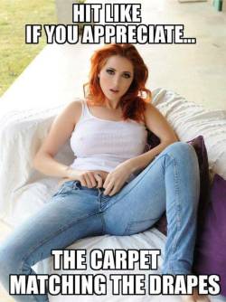 sex-kink-porn:  twizztedsworld:    The ONLY way it should be!M  Especially with redheads. However I prefer smooth flooring to carpets. 