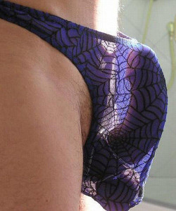 Flthongboy:  I Would Like To Get Caught In That Web! Check Out My Friends Blog: 