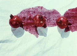 edgarwight: Цвет граната (The Color of Pomegranates) (1969, Sergei Parajanov) 
