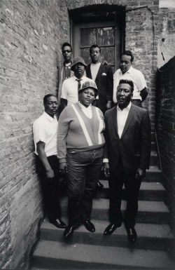 Big Mama Thornton And The Muddy Waters Blues Band. 