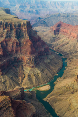 lvndcity:  Colorado River and Little Colorado River photo from Helicopter (5)  by Erika Wang | Flickr Us