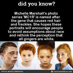 did-you-kno:  “I want to stir the perception that most of us have of a ‘ginger’ as a white Caucasian individual, potentially of Celtic descent. As we struggle with issues of immigration, discrimination and racial prejudice, Mother Nature, meanwhile,