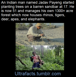ultrafacts:  greatfulldedd:  ultrafacts:  Source Follow Ultrafacts for more facts  This man created his own forest jungle this is amazing  It is larger than Central Park, NYC &amp; is called Molai forest, located in Kokilamukh, Jorhat district, Assam,