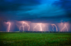 reagentx:  Electrical Storm by colleenpinski