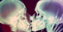 Brains-And-Bodies:  From Anatomy In Motion    Did You Know: When You Kiss Someone