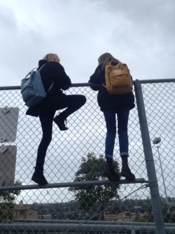 vodni:  animericans:  this is so boring white people are so boring  let us climb our fences in peace man!!