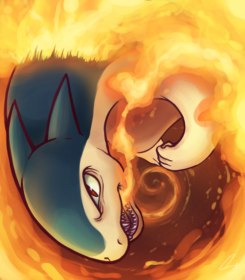 Porn Pics steffy-beff:   Typhlosion used Flame Wheel!