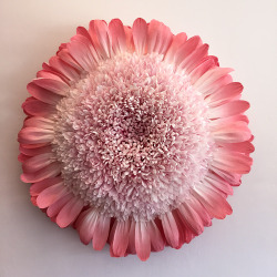 itscolossal:  New Giant Paper Flower Sculptures by Tiffanie Turner