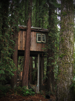 eartheld:  treehauslove:  Meditation Treehouse. A great meditation spot about 12 feet up in redwood trees. Fresh mountain air and beautiful nature is all you need. Located in Boulder Creek, California, USA. Treehouse book recommendation: Tree Houses You