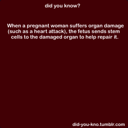 asgardreid:  laterinthecaveoflesbians:  did-you-kno:  Source   FETUSES DO THIS THEIR DAMN CELLS WHY IS STEM CELL RESEARCH A FUCKING TABOO?  Because republicans think scientists are wizards and fear their mastery of the arcane arts. 