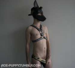 ace-puppy:  Something special for puppy day :3 