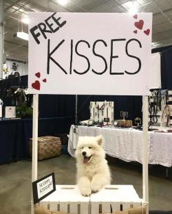 doggos-with-jobs:This kissing booth operator