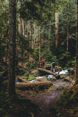 brianstowell: Hiking in Olympic National Park yesterday More adventures: Instagram | Flickr | brianstowell.com    Knew this as soon as I saw it, this is on the way to Marmot Pass in the Buckhorn Wilderness. I’ve got a post with a selfie on this log