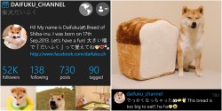 mustardtigress:  I love bread just as much as Daifuku!!