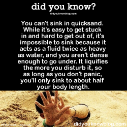 kokolokos: haywood-you-stop-that:   ladyfabulous:   did-you-kno:   Let’s review. YEP. NOPE. Yuh huh. Nuh uh. Source    Growing up in the 80s and early 90s really made quicksand a thing to be feared.    Your only real danger from quicksand is getting