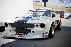 exost1:  gashetka:  1967 | Ford Mustang Shelby GT 500 | Source