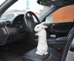 catsbeaversandducks:  &ldquo;Just get in the car, Alice. I’ll explain on the way.&rdquo; 