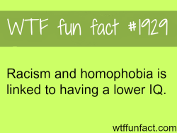 wtf-fun-factss:  Racism and homophobia are linkedto lower IQ - WTF fun facts