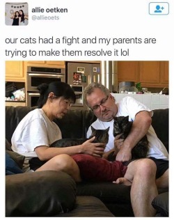 teamchampa:  crayongohan: This is Beerus, Champa, Whis, and Vados. cat parents 