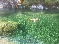 nakedinnature:  Just a few submissions of @ www.tiffanytemptations.tumblr.com, nude at some of our favorite swimming holes and beaches.  “Being natural and matter-of-fact about nudity prevents your children from developing an attitude of shame and guilt