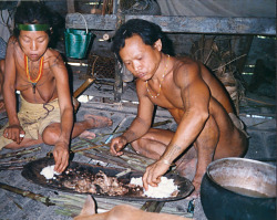   Mentawai, by Tom Schenau  Eating maniok mixed with various sorts of meat. The maniok, made from the Sago-palm, is the mentawai version of bread. The daily routine of the Mentawai- tribe living on the island of Siberut