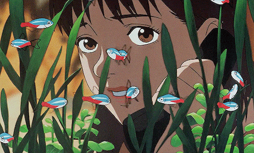 animationsource:No, I’m the real thing.PERFECT BLUE (1997)dir. Satoshi Kon
