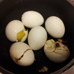 Note to self: do not boil #eggs and go watch #porn and think