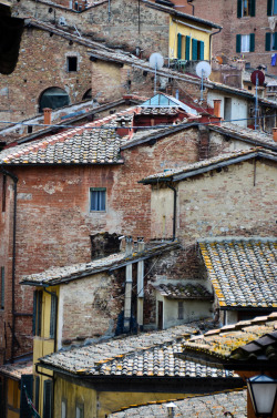 breathtakingdestinations:  Siena - Italy (by pixelposeur) 