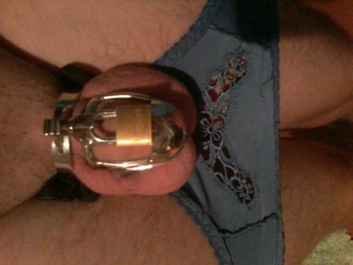 locked-cock:  ladygfemdom:  chantallsslave:  The reason my husband is locked in chastity…. look at the smal sorry excuse for a cock… the mini lock is almost bigger… please reblog and comment… every comment and reblog adds him 5 days longer and