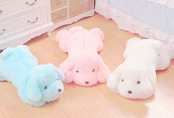 akaashie:    ♡ Light Up Music Puppy Plush (3 Colors 2 Sizes!)♡ from Fashion Store♡ Price: ห.70 - ฯ.70♡ You can use the code lovely7 for 10% off your purchase!     I need this!!!