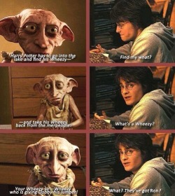 This is literally my favourite part dobby plays! Although he seemed to be much better in the books..