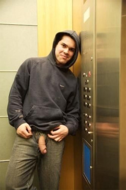 guyspantsdown: Elevator exhib  Hit the stop button, give him what he wants.