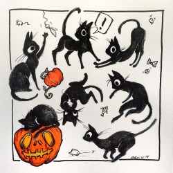 da-imaginarium: Sketch 190/ INKTOBER 29: Black Cat A fast and loose one. The INKTOBER finish line is in sight and thank goodness! My brain is fried and my hands are crampy DX 