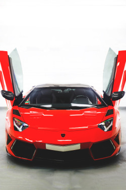 themanliness:  By Mansory | Source | Era