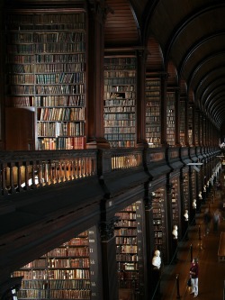 beautiful-blue-eyed-girl:  firmmaster:  Library Porn  