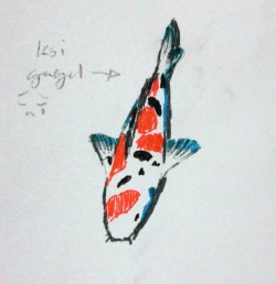 Koi fish 