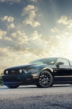 europeanvanity:  Mustang GT 2013