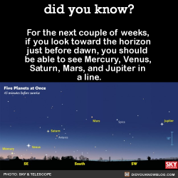 did-you-kno:  For the next couple of weeks, if you look toward the horizon just before dawn, you should be able to see Mercury, Venus, Saturn, Mars, and Jupiter in a line.  Source   My bike rides to work, before the sun rises, are beautiful.