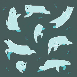kookylane: Swim Pingpong2.0 50:01topic: Polar bear. 