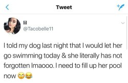 spaceshipsandpurpledrank:  therandomthoughtsofjae:  theseriouscynic:  pinkrosehippy: “she’s gonna fill this pool today, got me fucked up”  “I’ll wait”   Dogs memory is so precious.    And she a husky? Oh they petty by nature, they was gonna