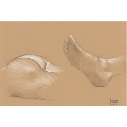 Sarah: Foot and Butt Studies 3B pencil and white Prismacolor pencil on Rives BFK Tan Heavyweight Printmaking Paper 15&quot;x11&quot;  #art #drawing #artmodel #artistmodel #lifedrawing #figuredrawing #figurativedrawing #pencildrawing #contemporaryart #post