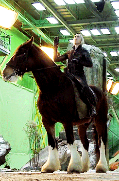movienut14:  lukasnorth:  The horse Lee rode in The Hobbit, Moose (the one they CGI’d into his elk), WAS 18 HANDS HIGH. For those of you who don’t speak horse, that means his horse was 6ft tall to his withers which is the highest point between his