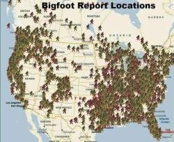 mavenmemnon:  unexplained-events: Reported Bigfoot Sightings 