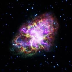 The Multiwavelength Crab #nasa #apod #esa #iafe #vla #chandra #spitzer #jpl #caltech #hubble #stsci #crabnebula #m1 #messier1 #nebula #supernovaremnant #electromagnetic #spectrum #xray #ultraviolet #visible #infrared #radio #crabpulsar #pulsar #neutron