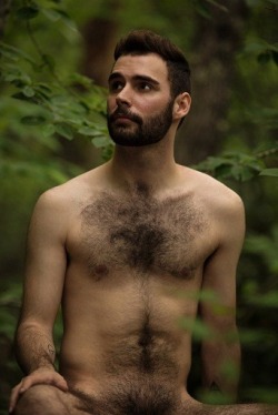 otternaturist:  Hairy faces and slim bodies:http://otternaturist.tumblr.com