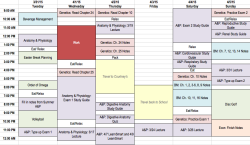 m3lim:  grxeek:  How to Schedule Your Study