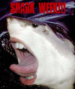 I made this for my 2nd last GF.  Shark Week otherwise known