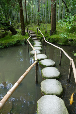 iesuuyr:   Stepping stones and bamboo in Tenjuan garden  by    	Dave Schweisguth 	  	 						 			      